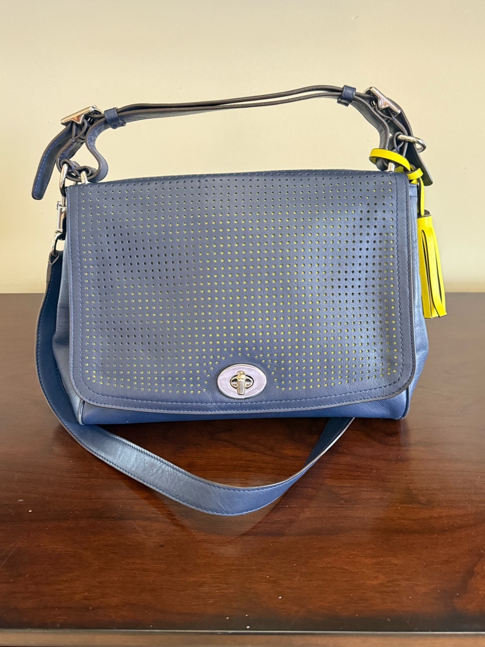 COACH 22386 Punching 2way Handbag